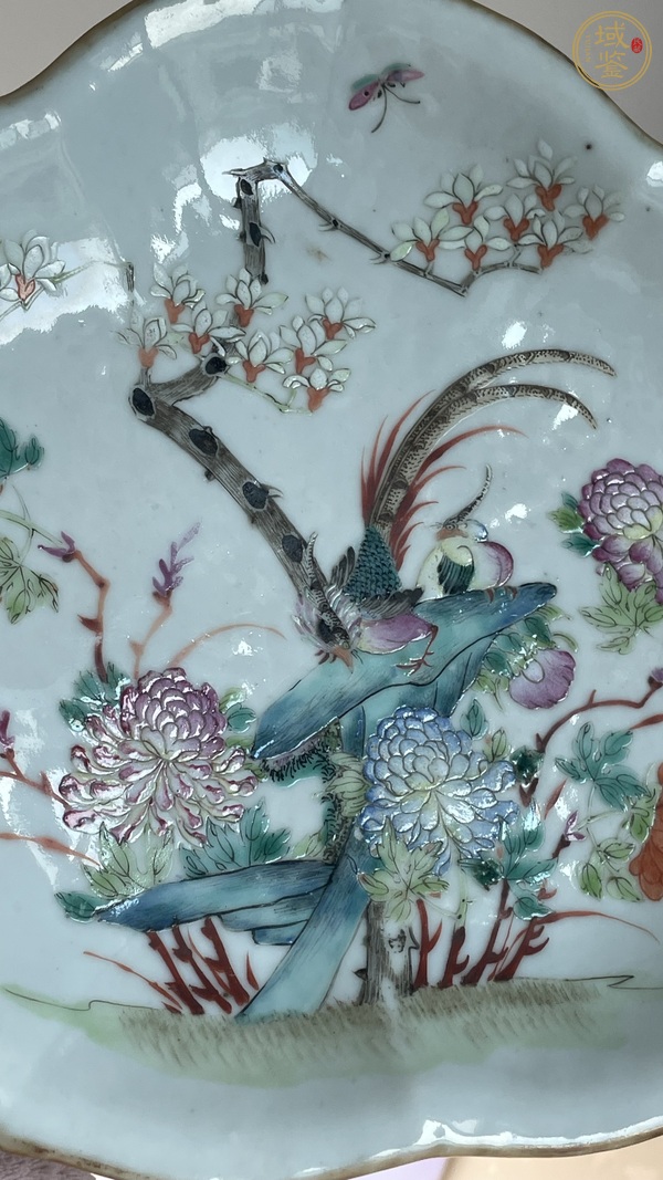 古玩陶瓷清晚期粉彩花鳥紋菱口盤真品鑒賞圖