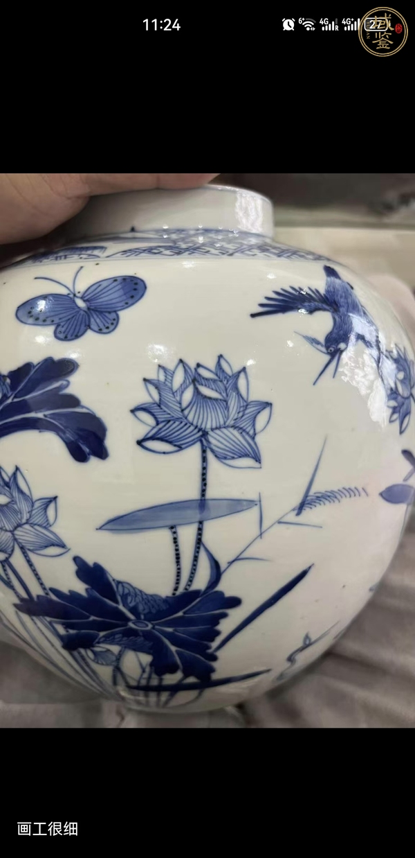 古玩陶瓷荷塘清趣圖青花罐真品鑒賞圖