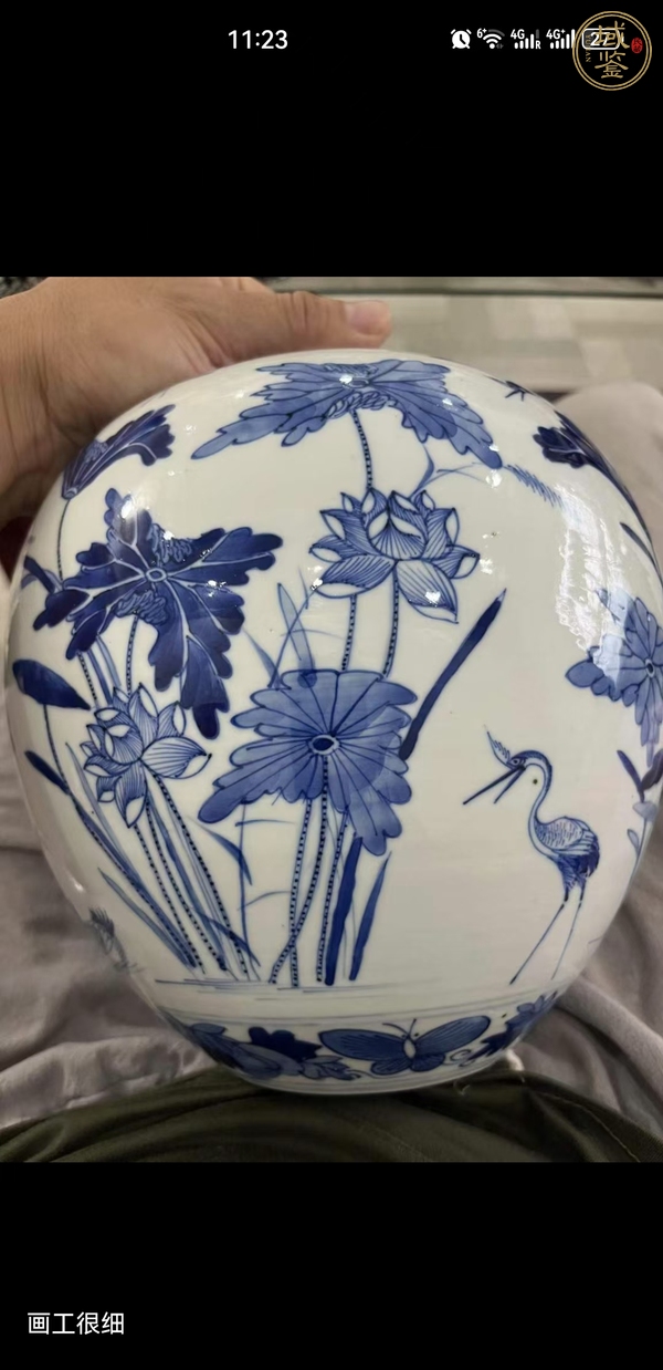 古玩陶瓷荷塘清趣圖青花罐真品鑒賞圖