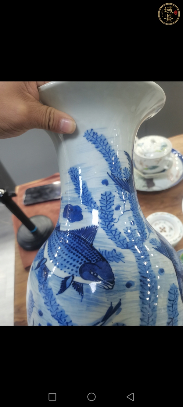 古玩陶瓷青花魚(yú)藻紋撇口瓶，注意品相真品鑒賞圖