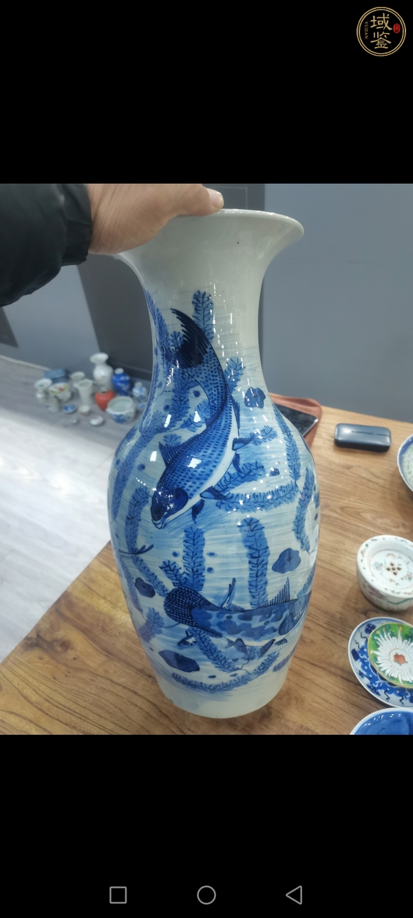 古玩陶瓷青花魚(yú)藻紋撇口瓶，注意品相真品鑒賞圖