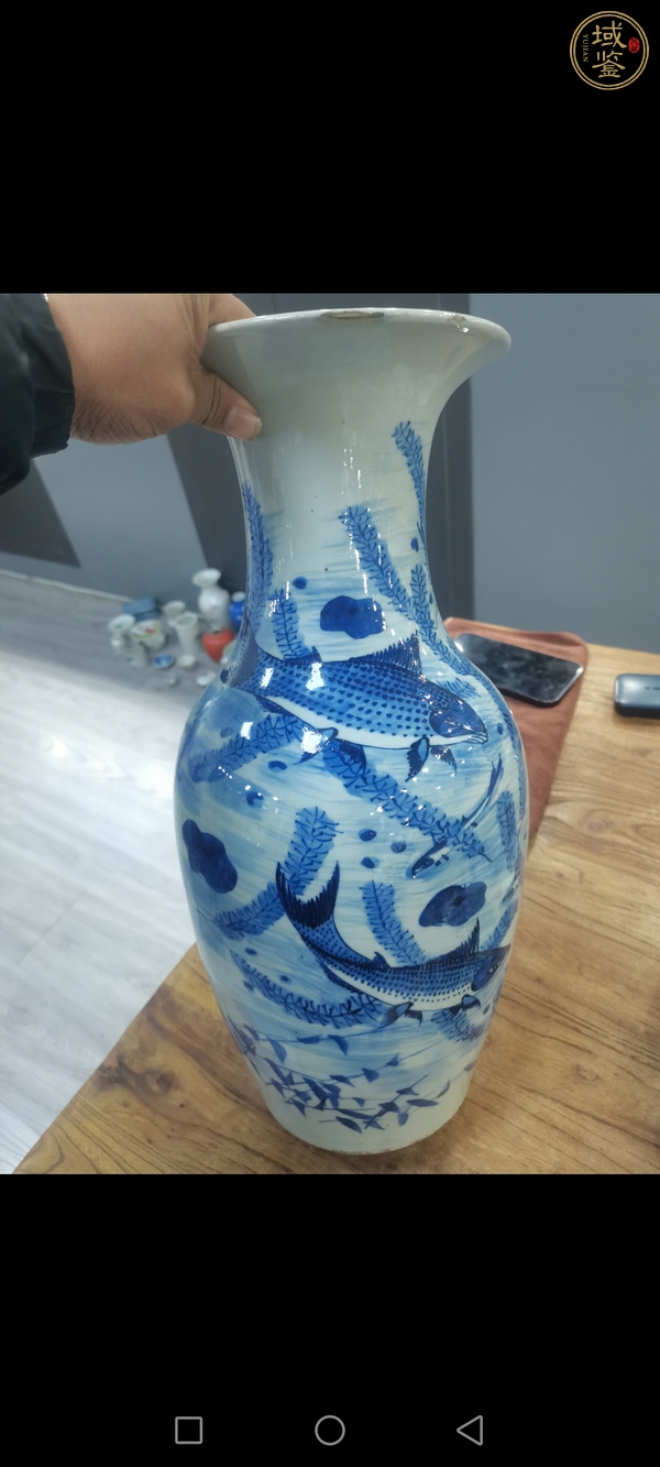 古玩陶瓷青花魚(yú)藻紋撇口瓶，注意品相真品鑒賞圖