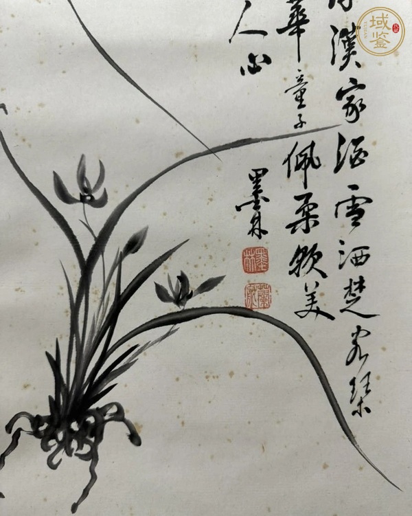 古玩字畫蘭真品鑒賞圖