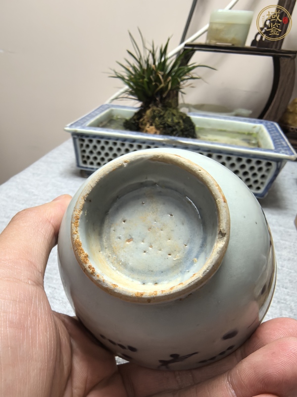 古玩陶瓷魚(yú)藻紋青花杯真品鑒賞圖