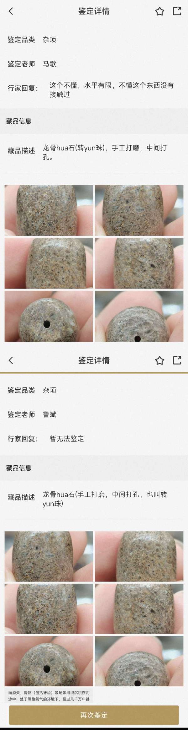 古玩雜項6000萬年前.《龍gu》hua石珠子(轉yun珠)拍賣，當前價格0元