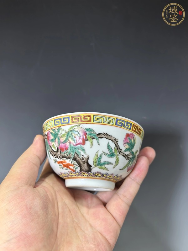 古玩陶瓷粉彩九桃茶碗，疑似后加款真品鑒賞圖