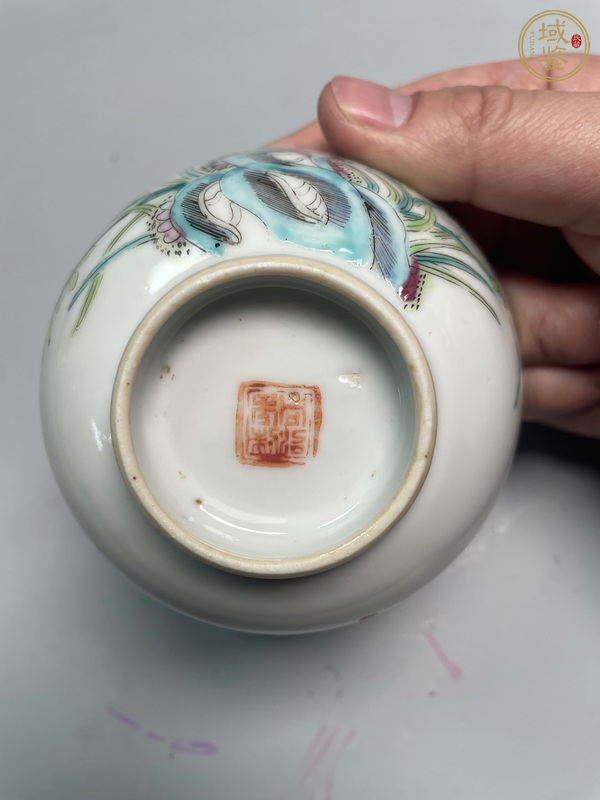 古玩陶瓷粉彩蘭草紋茶碗真品鑒賞圖