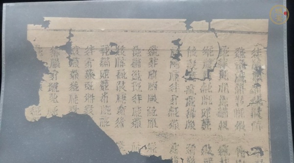 古玩字畫西夏文古籍殘片真品鑒賞圖