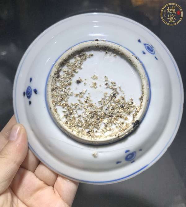 古玩陶瓷云鶴紋青花盤真品鑒賞圖