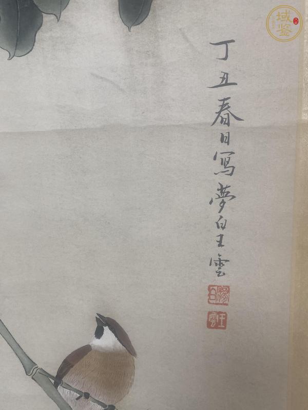 古玩字畫(huà)王夢(mèng)白款花鳥(niǎo)真品鑒賞圖