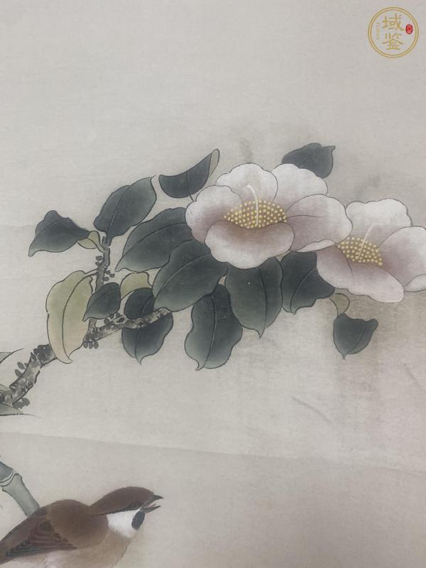 古玩字畫王夢白款花鳥真品鑒賞圖