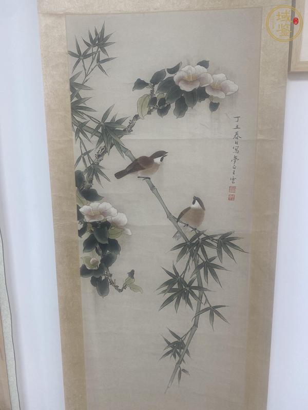 古玩字畫(huà)王夢(mèng)白款花鳥(niǎo)真品鑒賞圖