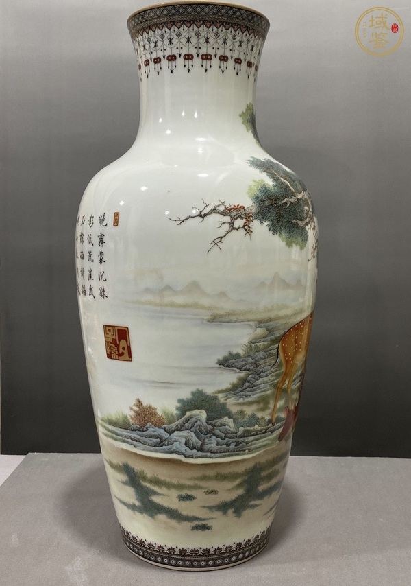 古玩陶瓷琺瑯彩瓶真品鑒賞圖