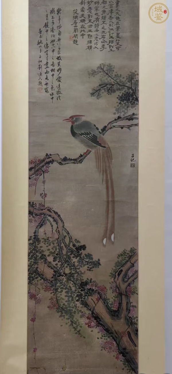 古玩字畫呂紀花鳥真品鑒賞圖