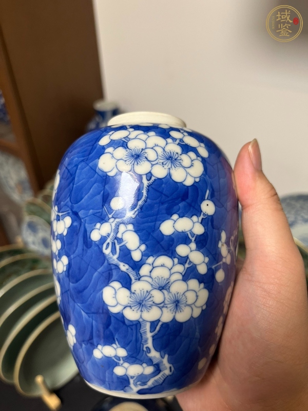 古玩陶瓷青花冰梅罐真品鑒賞圖