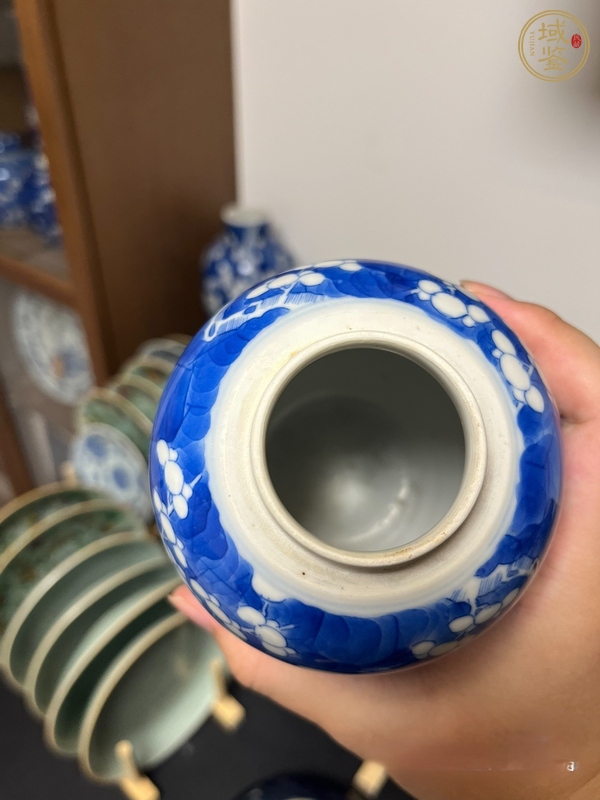 古玩陶瓷青花冰梅罐真品鑒賞圖