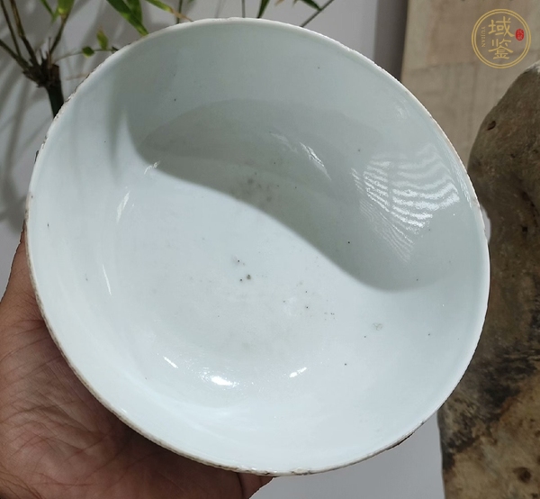 古玩陶瓷青花荷蓮紋茶碗真品鑒賞圖