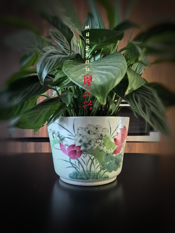 古玩陶瓷晚清名家(廖正興)粉彩荷蓮花盆拍賣(mài)，當(dāng)前價(jià)格8888元