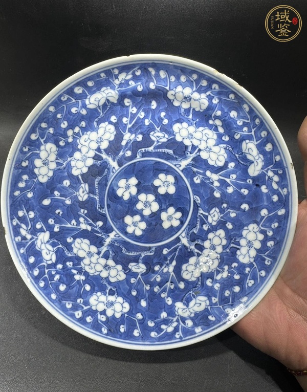 古玩晚清青花冰梅盤真品鑒賞圖