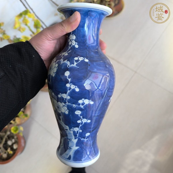 古玩陶瓷青花冰梅圖觀音瓶真品鑒賞圖