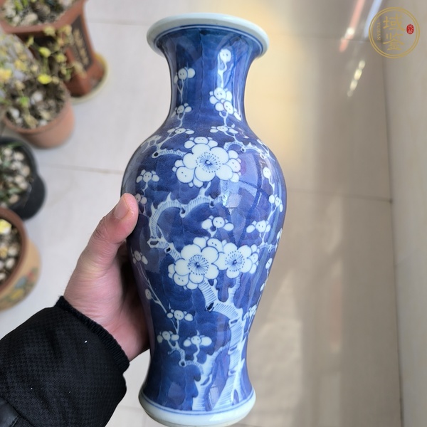 古玩陶瓷青花冰梅圖觀音瓶真品鑒賞圖