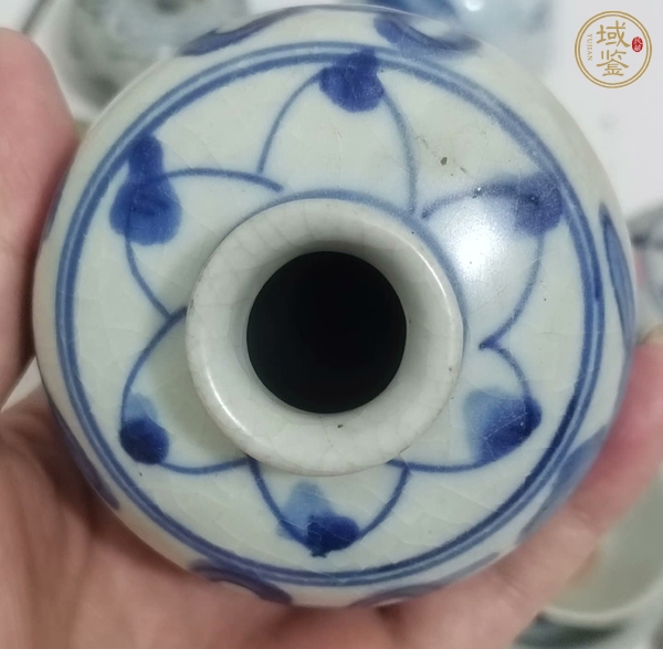 古玩陶瓷飄帶繡球獅子紋水盂真品鑒賞圖