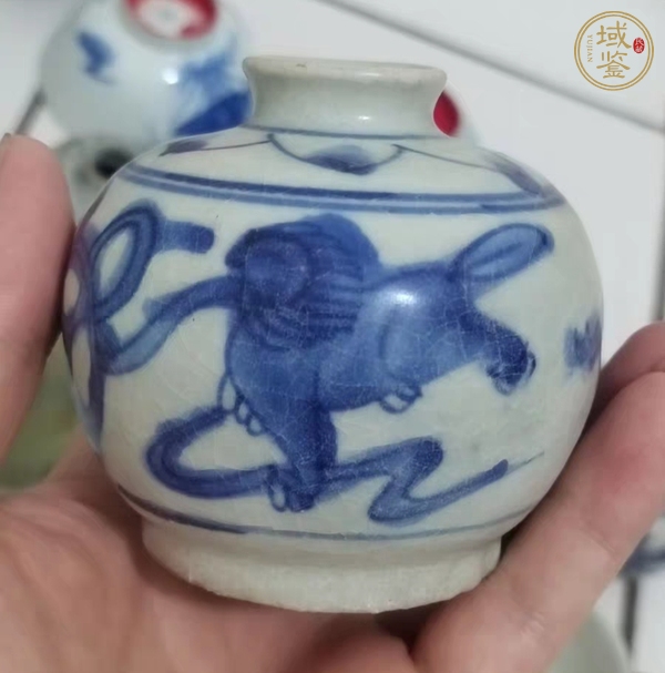 古玩陶瓷飄帶繡球獅子紋水盂真品鑒賞圖