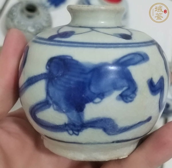 古玩陶瓷飄帶繡球獅子紋水盂真品鑒賞圖