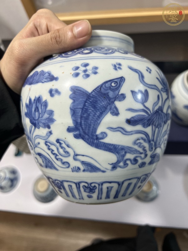 古玩陶瓷青花魚(yú)藻紋罐真品鑒賞圖