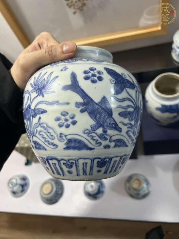 古玩陶瓷青花魚(yú)藻紋罐真品鑒賞圖