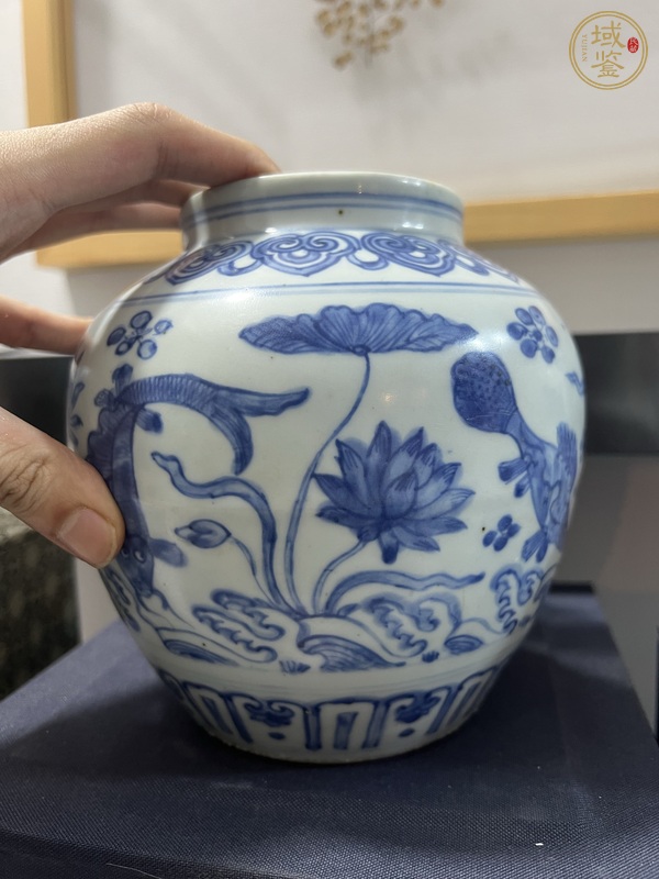 古玩陶瓷青花魚(yú)藻紋罐真品鑒賞圖