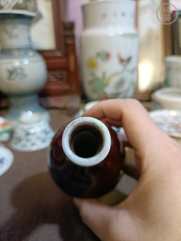 古玩陶瓷郎紅釉天球瓶真品鑒賞圖