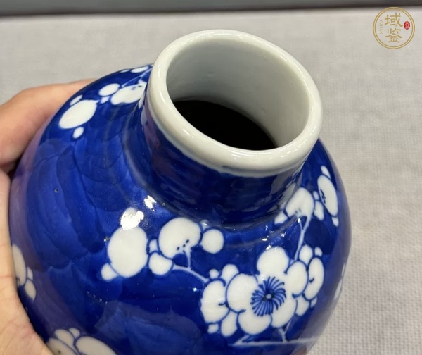 古玩陶瓷青花冰梅紋雞腿瓶真品鑒賞圖