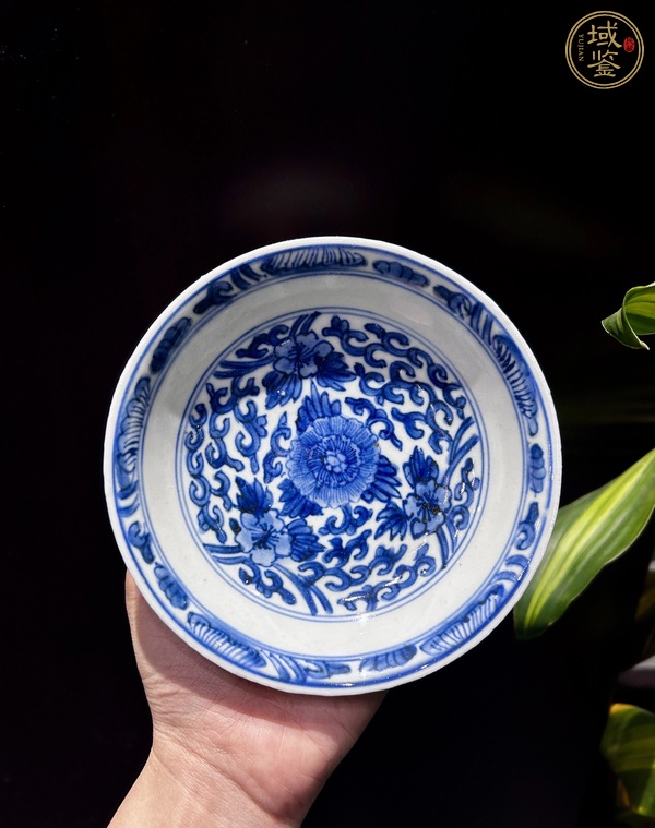 古玩康熙青花纏枝花盤真品鑒賞圖