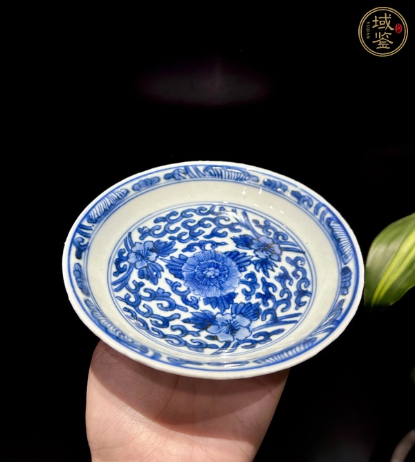 古玩陶瓷康熙青花纏枝花盤真品鑒賞圖