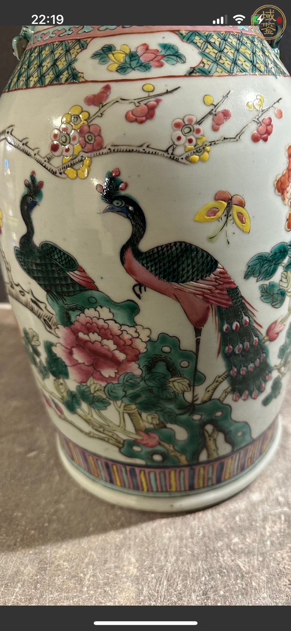 古玩陶瓷花鳥蝶紋粉彩瓶真品鑒賞圖