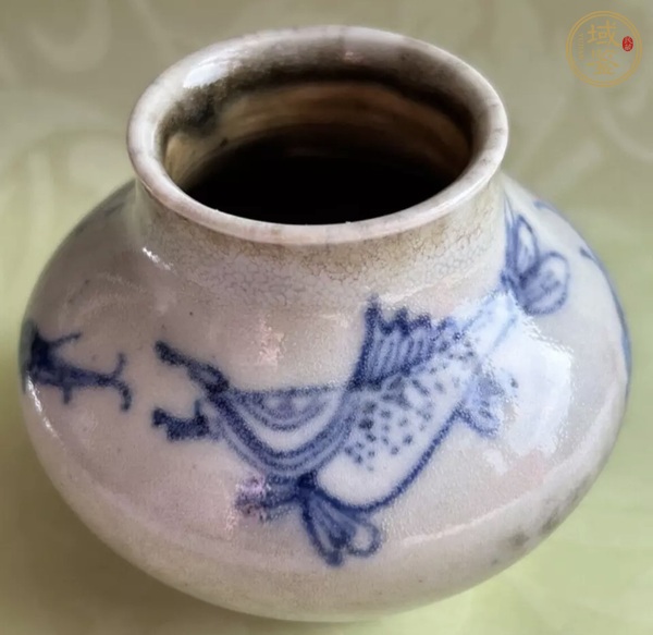 古玩青花魚(yú)紋水盂真品鑒賞圖