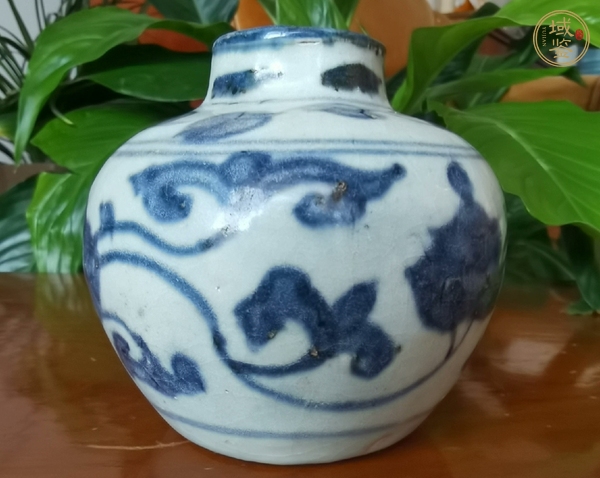 古玩陶瓷青花花卉紋水盂真品鑒賞圖