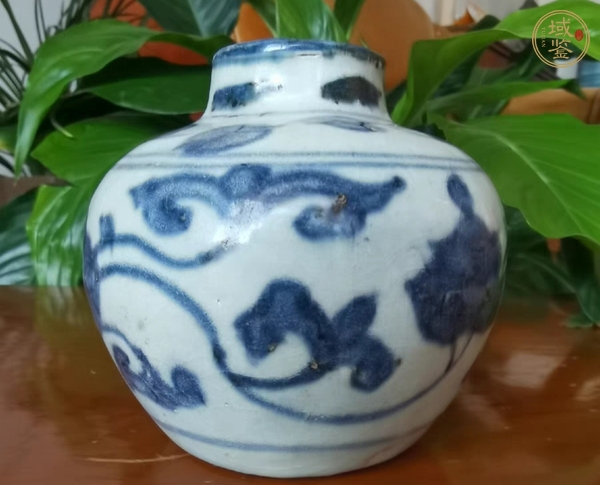 古玩陶瓷青花花卉紋水盂真品鑒賞圖