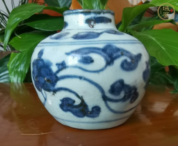 古玩陶瓷青花花卉紋水盂真品鑒賞圖