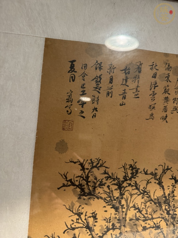 古玩字畫東籬黃菊映秋田真品鑒賞圖