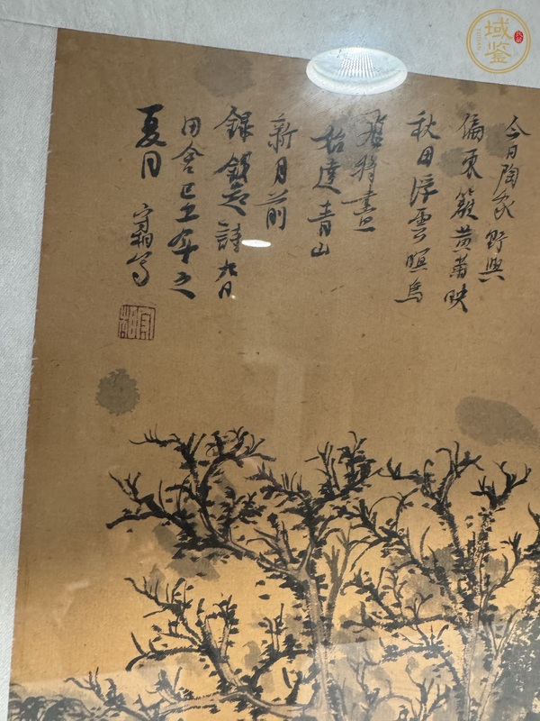 古玩字畫東籬黃菊映秋田真品鑒賞圖