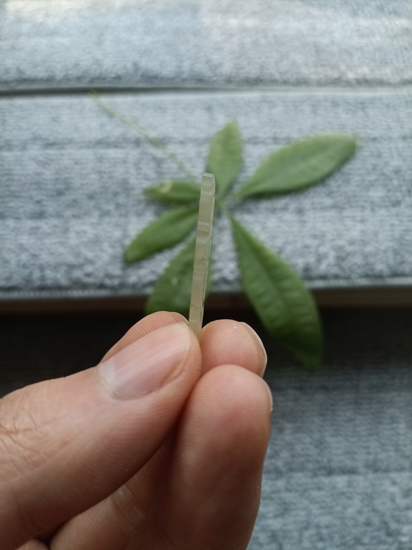 古玩玉器（這樣的不都小幾百）清代和田玉雕“花片”拍賣，當前價格100元