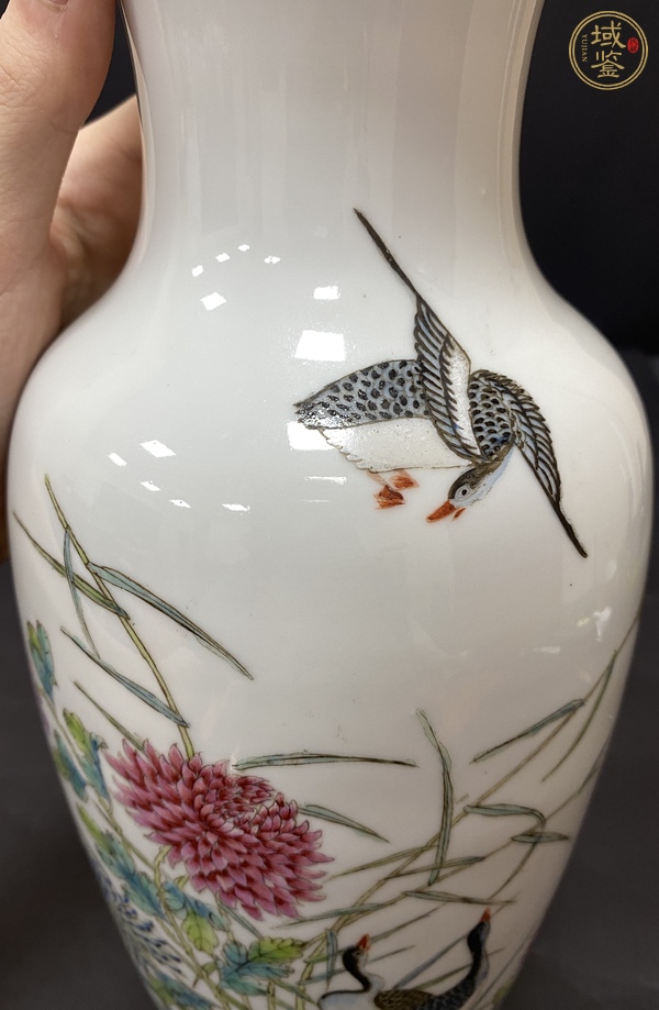 古玩陶瓷花鳥紋粉彩瓶真品鑒賞圖