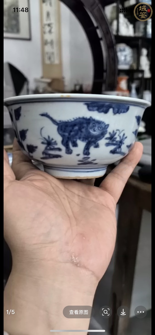 古玩陶瓷青花虎紋茶碗真品鑒賞圖