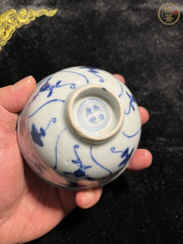 古玩陶瓷如意靈芝紋青花茶圓真品鑒賞圖