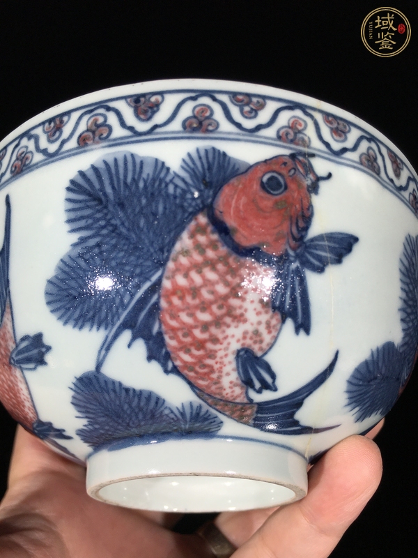 古玩陶瓷青花釉里紅魚藻紋茶圓真品鑒賞圖