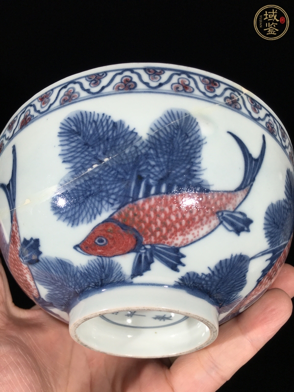 古玩陶瓷青花釉里紅魚藻紋茶圓真品鑒賞圖