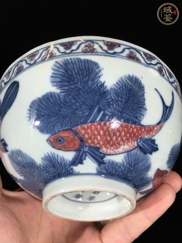 古玩陶瓷青花釉里紅魚藻紋茶圓真品鑒賞圖