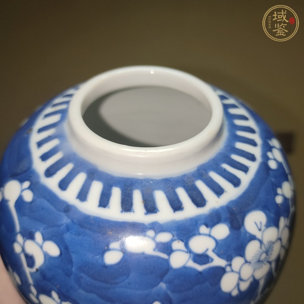 古玩陶瓷青花冰梅圖茶葉罐真品鑒賞圖